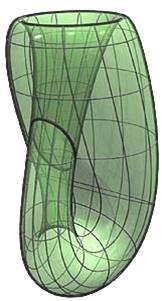 Вид топологической модели: Бутылка Клейна