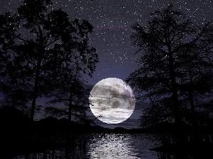 "Луна чиста, вот с неба звезды глянут..." (А. Фет)