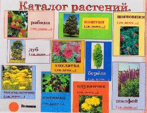 растения Ростовской области