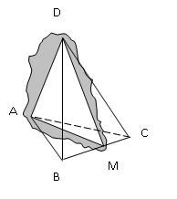Биссектр двугранного угла тетраэдра