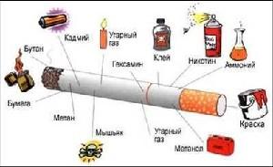 В состав табачного дыма входит гормадное количество вредных веществ.