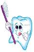 Зубная щётка и зубная паста выполняет основную очищающую функцию при уходе за полостью  рта.
