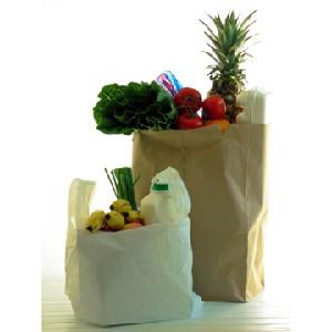 Paper bags or plastic bags… what is your choice?