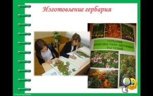 Изготовление продукта проекта- гербарий иммуностимулирующих растений